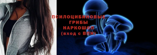 трава Михайловск