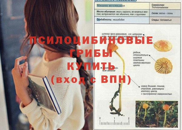 прущая мука Михайловка