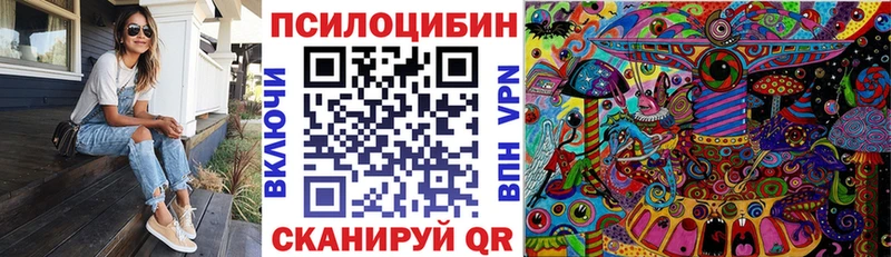 Галлюциногенные грибы Psilocybine cubensis  Елец 