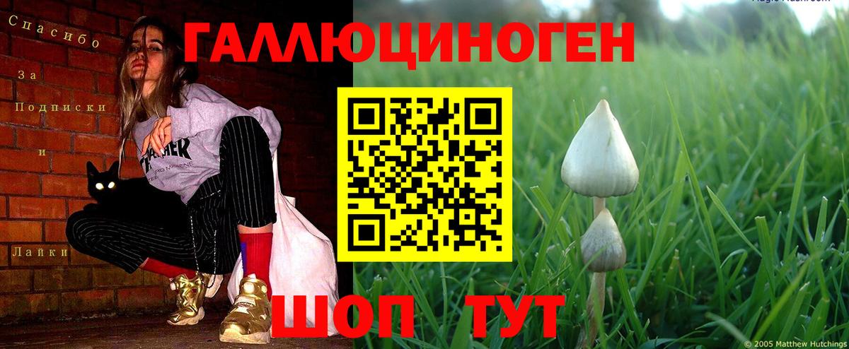 Елец  Псилоцибиновые грибы Cubensis  Вход с VPN 