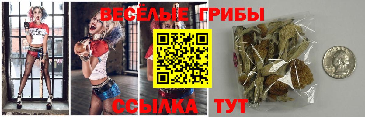 Галлюциногенные грибы Psilocybe  Галлюциногенные грибы прущие грибы  Елец 