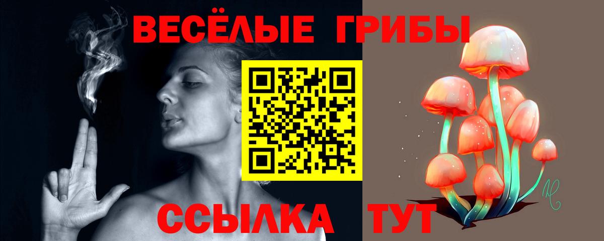 Галлюциногенные грибы Psilocybe Елец